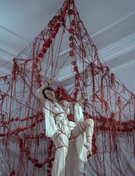 美丽姑娘在线观看完整版免费_BD在线播放观看